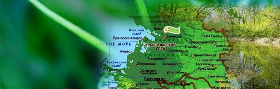 Доклад по теме Экологическая обстановка Шебекинского района